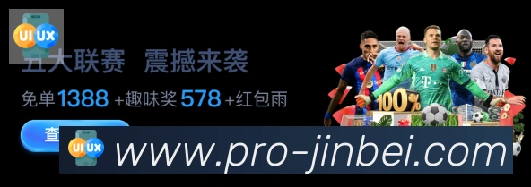 互动解说服务